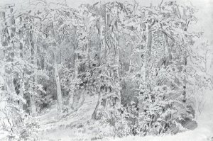 In a Forest, Falled Tree by Ivan Ivanovich Shishkin Oil Painting
