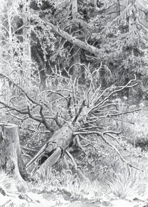 In a Forest, Falled Tree Oil painting by Ivan Ivanovich Shishkin