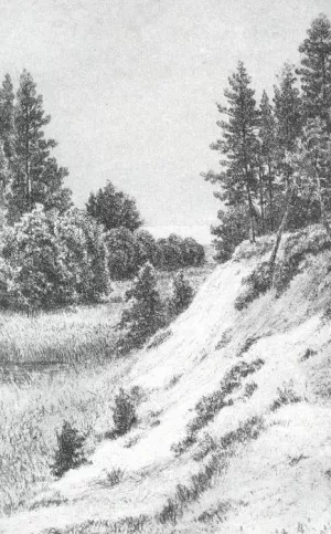 In Sestroretsk Oil painting by Ivan Ivanovich Shishkin