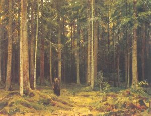 In the Forest of Countess Mordvinova, Petergof
