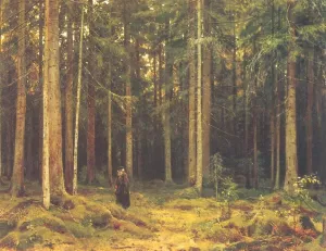 In the Forest of Countess Mordvinova, Petergof by Ivan Ivanovich Shishkin Oil Painting