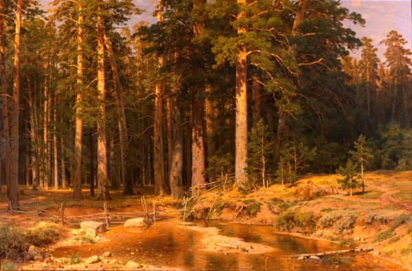 Main Product Photo of Mast-Tree grove Painting by Ivan Ivanovich Shishkin