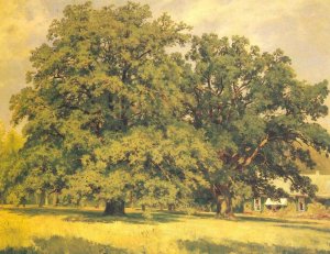 Mordvinov's oaks Oil painting by Ivan Ivanovich Shishkin