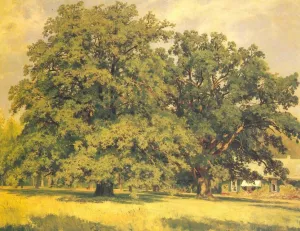 Mordvinov's oaks by Ivan Ivanovich Shishkin Oil Painting