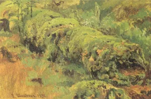 Mossy Punk Wood Study by Ivan Ivanovich Shishkin - Oil Painting Reproduction