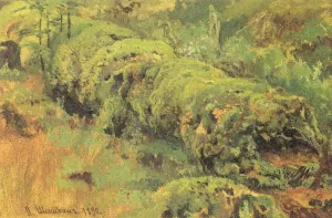 Mossy Punk Wood Study Oil painting by Ivan Ivanovich Shishkin