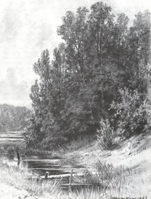 Near Brook Oil painting by Ivan Ivanovich Shishkin
