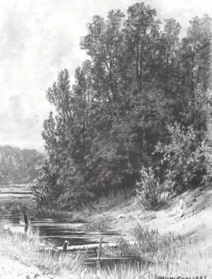 Near Brook Oil painting by Ivan Ivanovich Shishkin