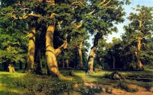 Oak-wood by Ivan Ivanovich Shishkin - Oil Painting Reproduction