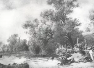 Oaklets Near Sestroretsk Oil painting by Ivan Ivanovich Shishkin