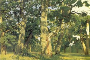 Oaks, Evening Study for Picture Oak-Wood by Ivan Ivanovich Shishkin Oil Painting