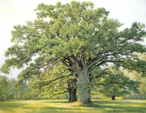 Oaks in the Old Petergof by Ivan Ivanovich Shishkin Oil Painting