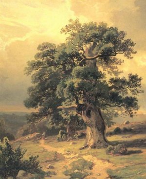 Oaks Study by Ivan Ivanovich Shishkin Oil Painting
