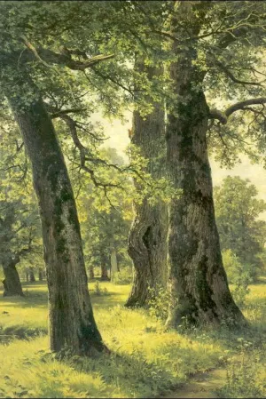 Oaks by Ivan Ivanovich Shishkin - Oil Painting Reproduction