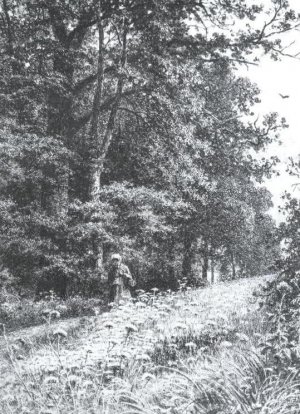 On a Boundary Path by Ivan Ivanovich Shishkin Oil Painting