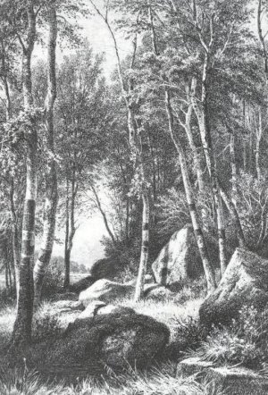 On Edge of Birch Grove, Valaam Oil painting by Ivan Ivanovich Shishkin