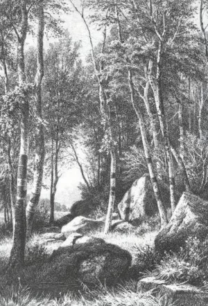 On Edge of Birch Grove, Valaam by Ivan Ivanovich Shishkin - Oil Painting Reproduction