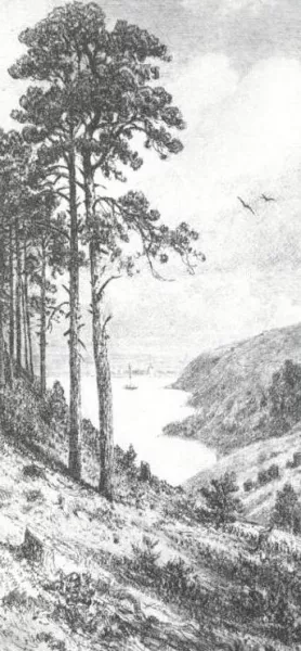 On River Kama near Elabuga Oil painting by Ivan Ivanovich Shishkin