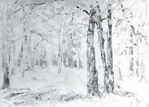 Path in a Forest by Ivan Ivanovich Shishkin Oil Painting