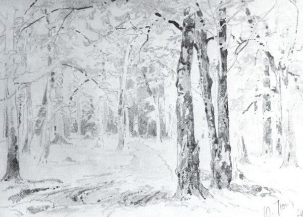 Path in a Forest by Ivan Ivanovich Shishkin - Hand-Painted Oil Painting Reproduction