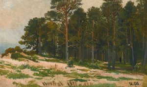 Pine Forest by Ivan Ivanovich Shishkin Oil Painting