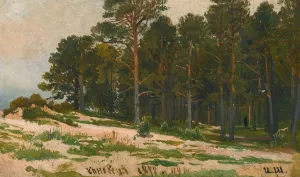 Pine Forest by Ivan Ivanovich Shishkin Oil Painting