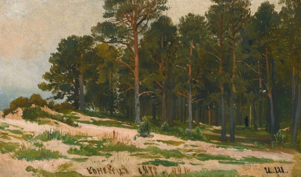 Main Product Photo of Pine Forest  Painting by Ivan Ivanovich Shishkin