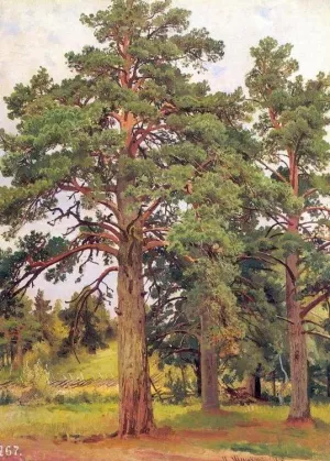 Pine Without Sunshine Etude by Ivan Ivanovich Shishkin Oil Painting