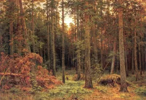 Piny Wood by Ivan Ivanovich Shishkin Oil Painting