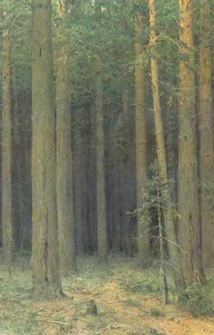 Reserve, Pine Forest by Ivan Ivanovich Shishkin - Oil Painting Reproduction