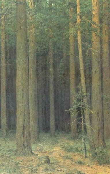 Reserve, Pine Forest by Ivan Ivanovich Shishkin - Hand-Painted Oil Painting Reproduction
