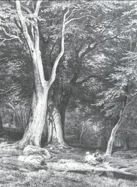 Rest in a Forest by Ivan Ivanovich Shishkin - Hand-Painted Oil Painting Reproduction
