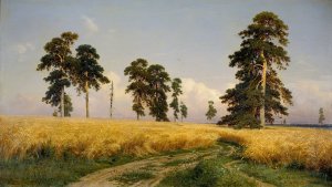 Rye Fields by Ivan Ivanovich Shishkin Oil Painting