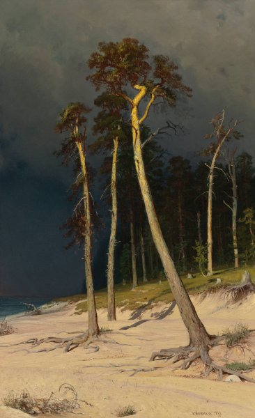 Main Product Photo of Sandy Coastline  Painting by Ivan Ivanovich Shishkin