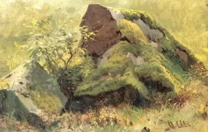 Stones Etude by Ivan Ivanovich Shishkin Oil Painting