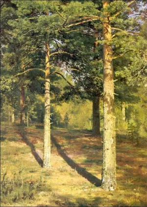 Sunny Pine-Tree Etude by Ivan Ivanovich Shishkin - Oil Painting Reproduction
