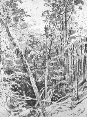 Suuch-Khan Oil painting by Ivan Ivanovich Shishkin
