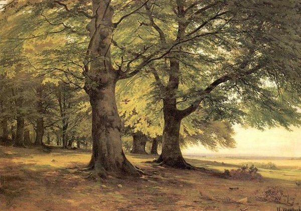 Main Product Photo of Tevtoburgsky Forest Painting by Ivan Ivanovich Shishkin