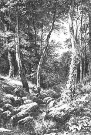 The Brook in Forest Oil painting by Ivan Ivanovich Shishkin