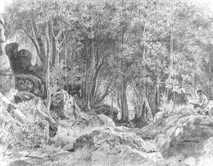 The Deciduous Forest on Rocky Coast, Valaam by Ivan Ivanovich Shishkin - Oil Painting Reproduction