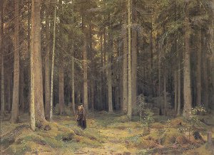 The Forest of Countess Mordvinova