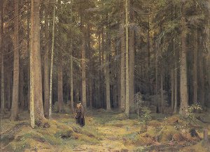 The Forest of Countess Mordvinova by Ivan Ivanovich Shishkin Oil Painting