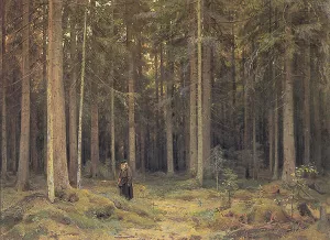 The Forest of Countess Mordvinova by Ivan Ivanovich Shishkin Oil Painting