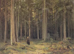 The Forest of Countess Mordvinova Oil painting by Ivan Ivanovich Shishkin