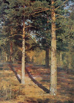 The Sun-lit Pines by Ivan Ivanovich Shishkin Oil Painting