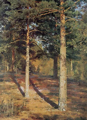 The Sun-lit Pines Oil painting by Ivan Ivanovich Shishkin