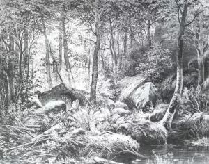 Thicket View on the Island Valaam Oil painting by Ivan Ivanovich Shishkin