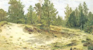 Young Pines on Sandy Steep Etude by Ivan Ivanovich Shishkin - Oil Painting Reproduction