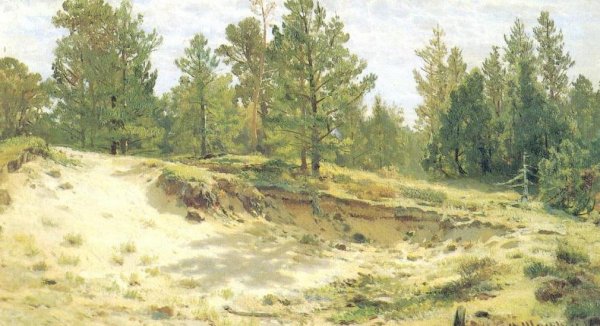 Young Pines on Sandy Steep Etude by Ivan Ivanovich Shishkin - Hand-Painted Oil Painting Reproduction