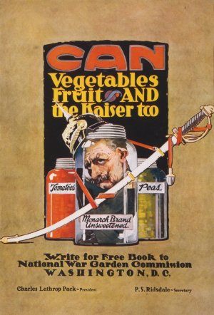 Can vegetables, fruit, and the kaiser too-Write for free book to National War Garden Commission, Washington, D.C. by J. Paul Verrees Oil Painting